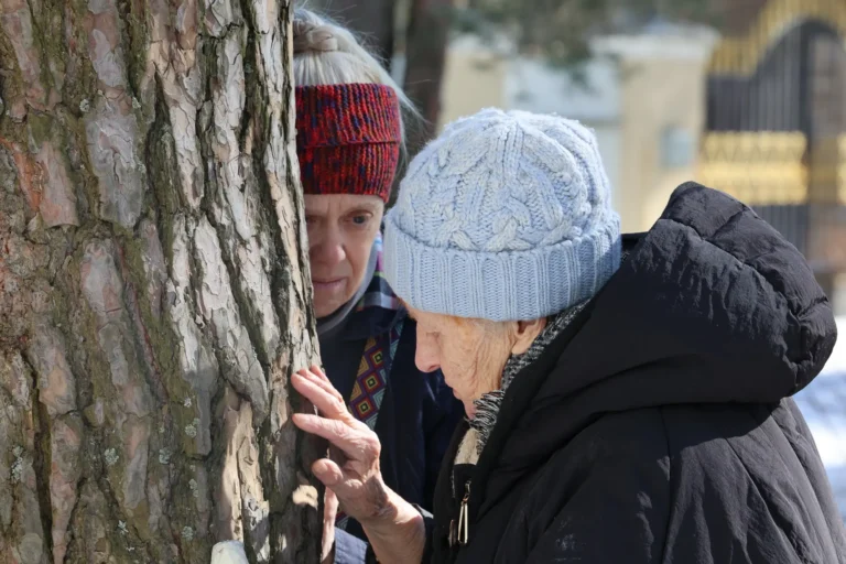 Паллиативная медицинская помощь в хосписе